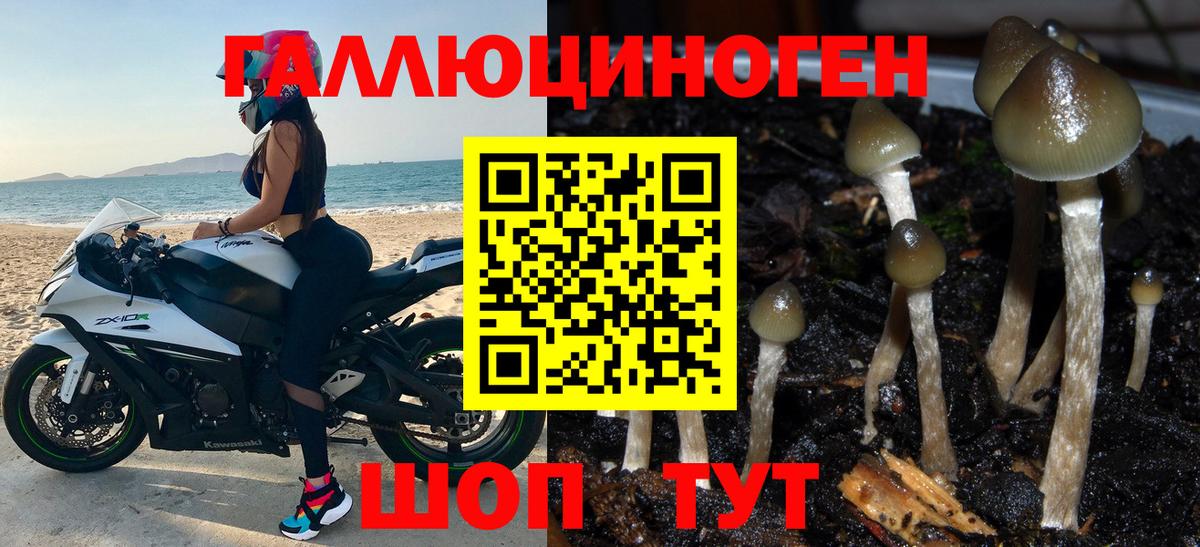 Липецк  Псилоцибиновые грибы Cubensis  Галлюциногенные грибы Psilocybe  Вход с VPN 